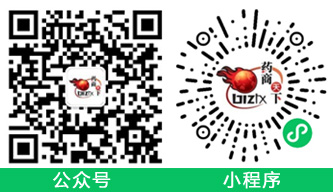 心脑宁胶囊